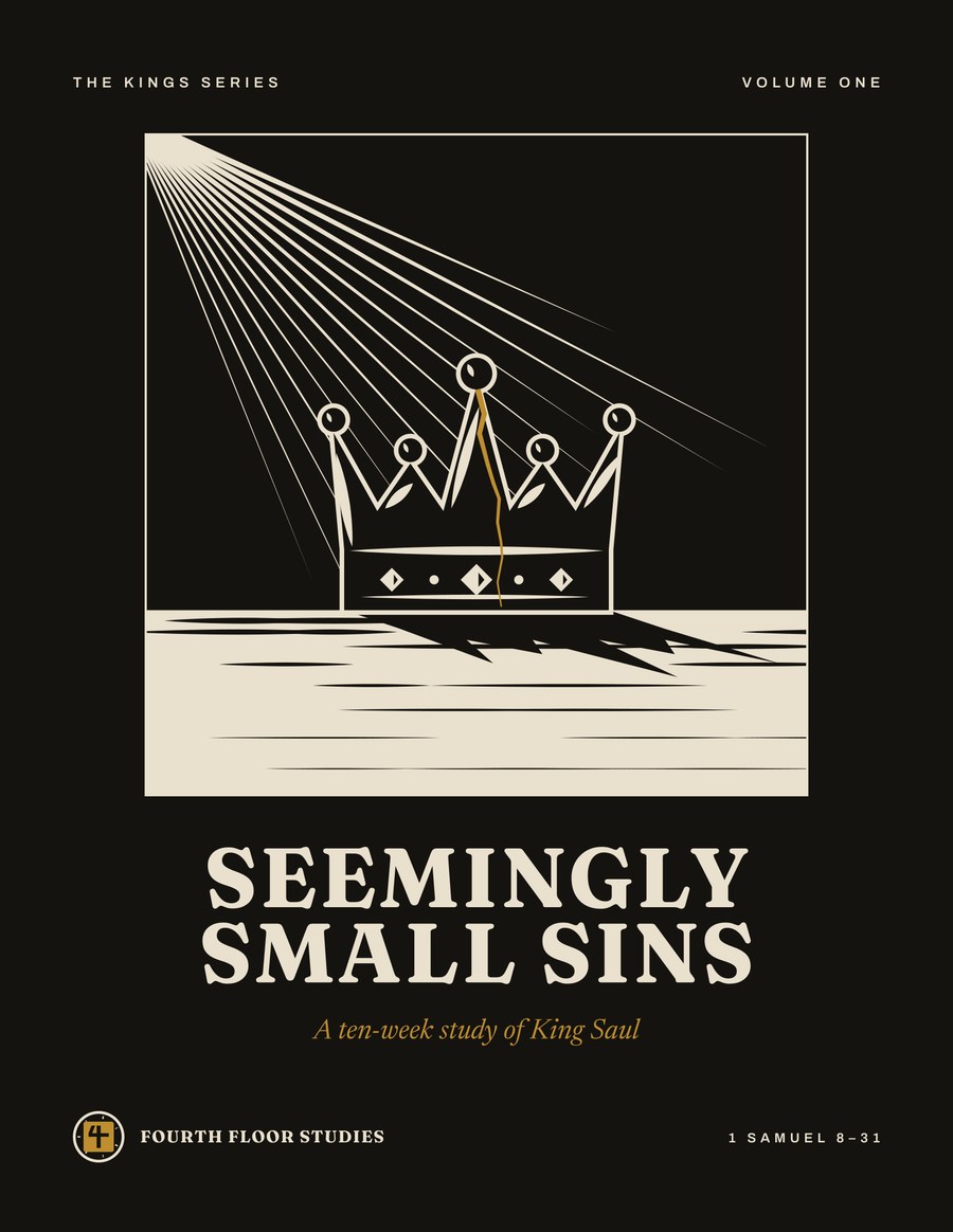 Seemingly Small Sins cover